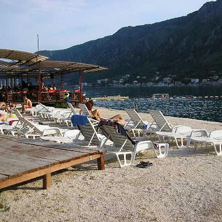 Apartments Vojvoda Kotor Dış mekan fotoğraf