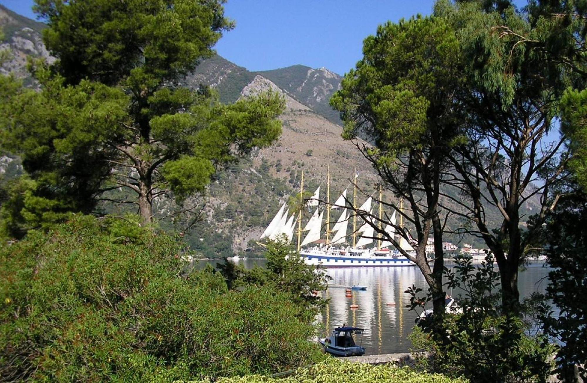 Apartments Vojvoda Kotor Dış mekan fotoğraf