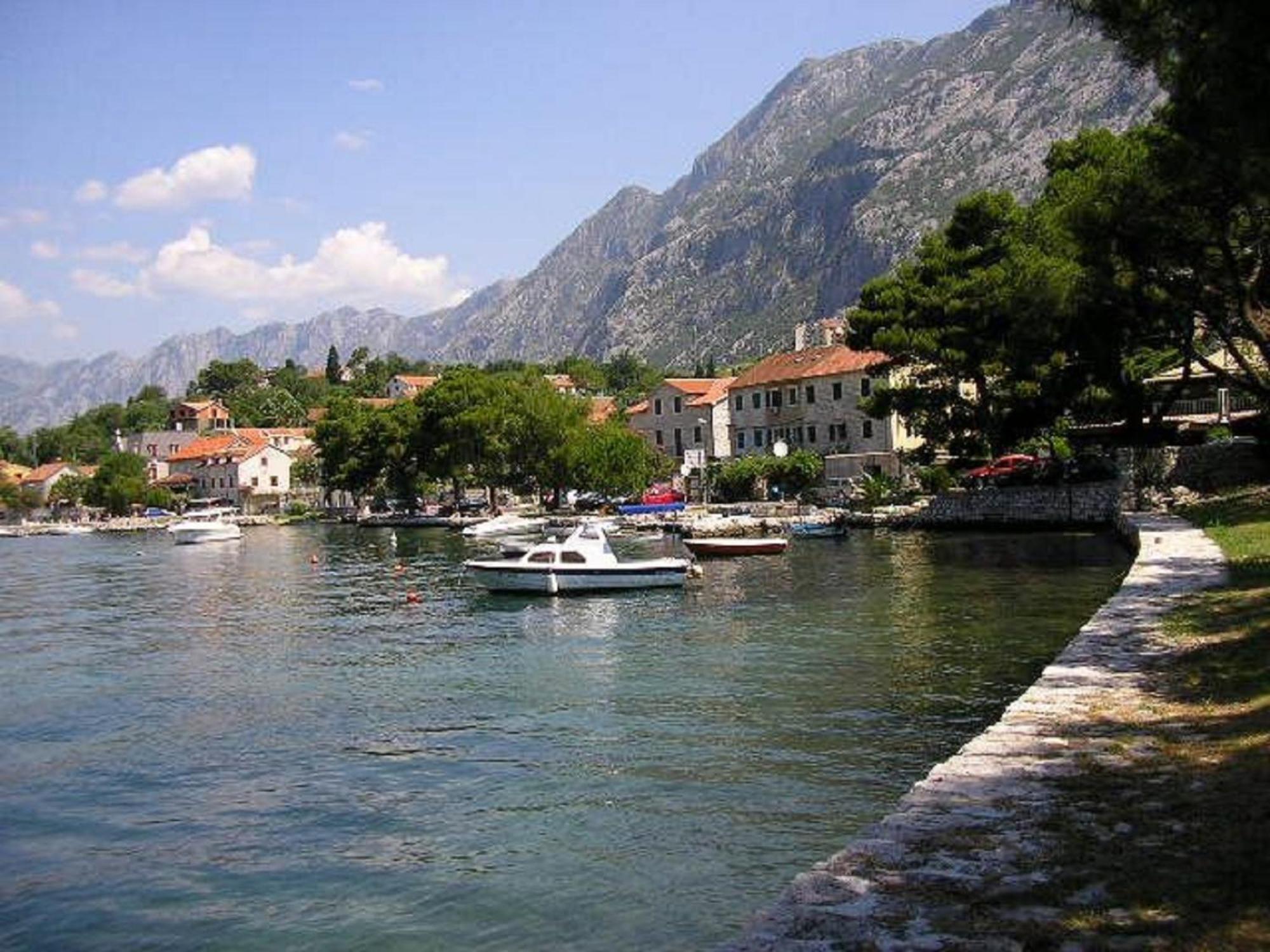 Apartments Vojvoda Kotor Dış mekan fotoğraf