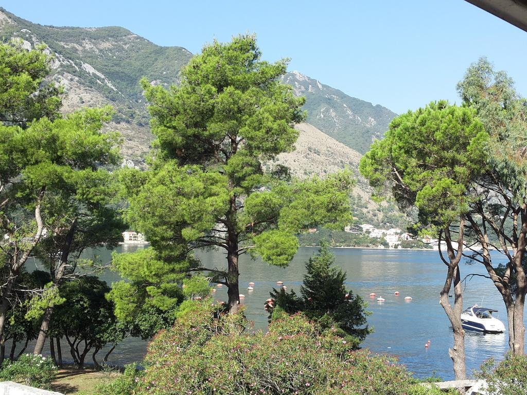 Apartments Vojvoda Kotor Oda fotoğraf